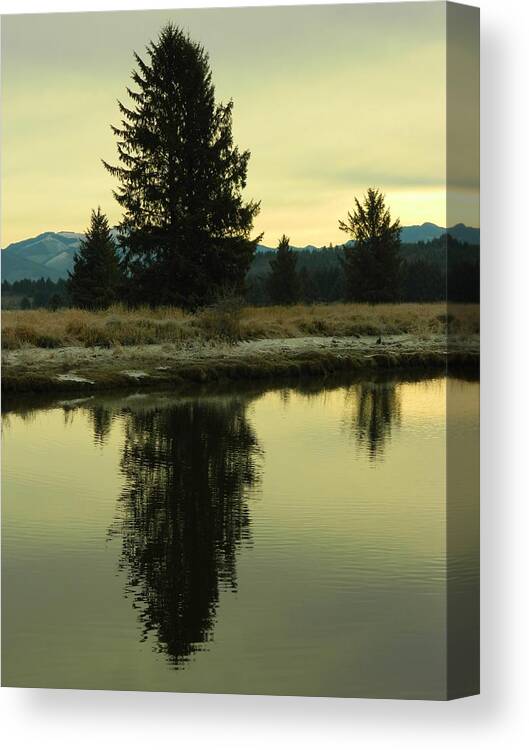 Landscape Canvas Print featuring the photograph Winter River 5 by Gallery Of Hope 
