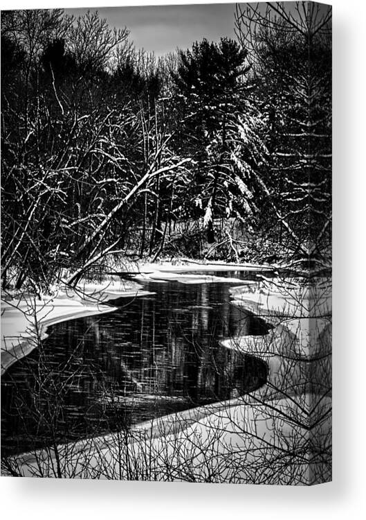 Winter Setting Canvas Print featuring the photograph Winter Solitude by Thomas Young