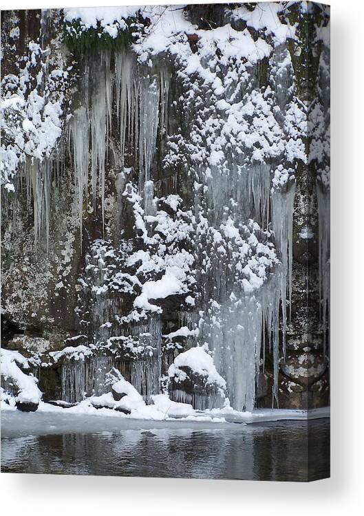 Ice Canvas Print featuring the photograph Winter Storm by Jewels Hamrick