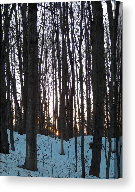 Winter Sun Sets In The Maine Woods Canvas Print featuring the photograph Winter sun sets in the Maine woods by Priscilla Batzell Expressionist Art Studio Gallery