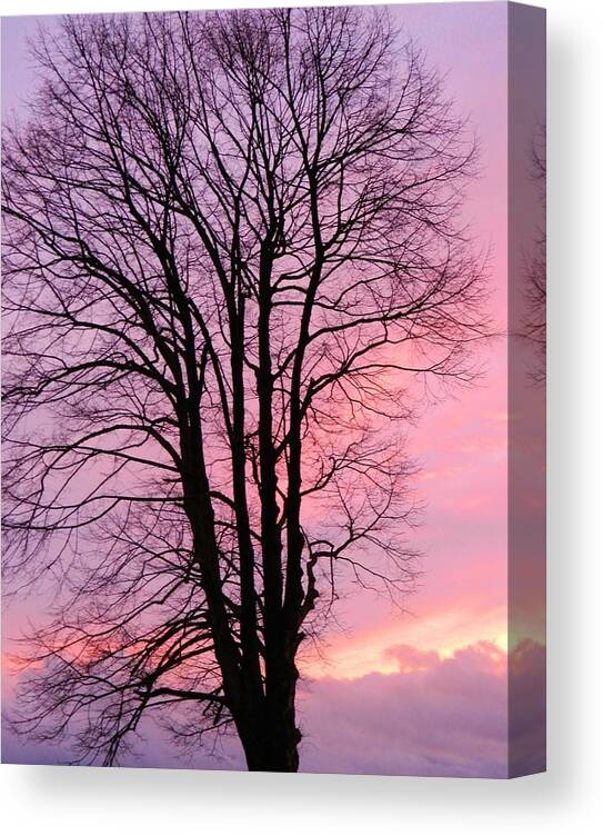 Sunset Canvas Print featuring the photograph Winter Sunset by Gallery Of Hope 