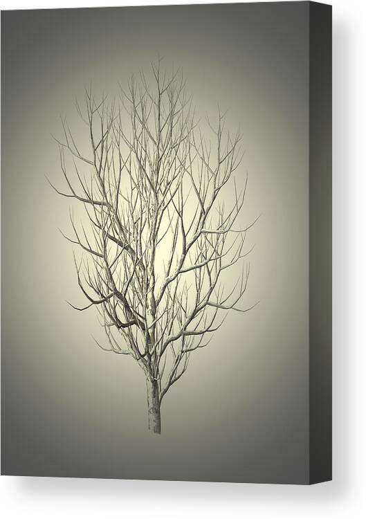 Winter Canvas Print featuring the painting Winter Tree 5 by Movie Poster Prints