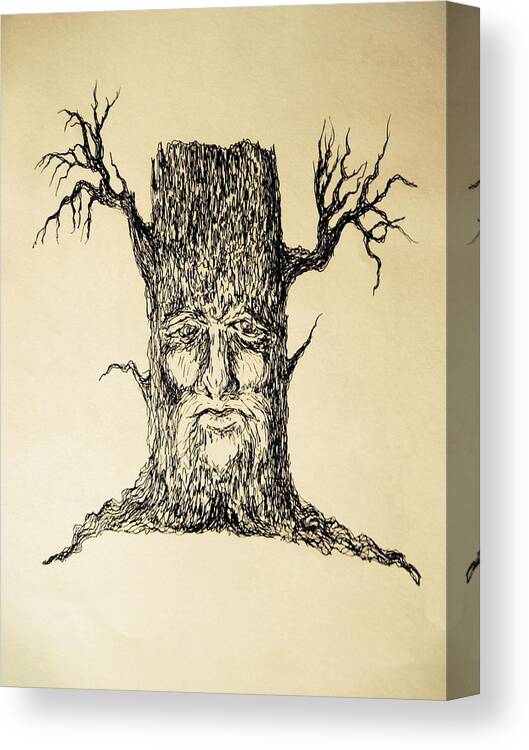Fantasy Canvas Print featuring the painting Wise old tree by Megan Walsh