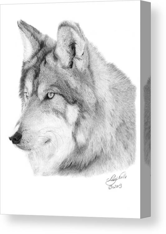 Wolf Canvas Print featuring the drawing Wolf - 006 by Abbey Noelle