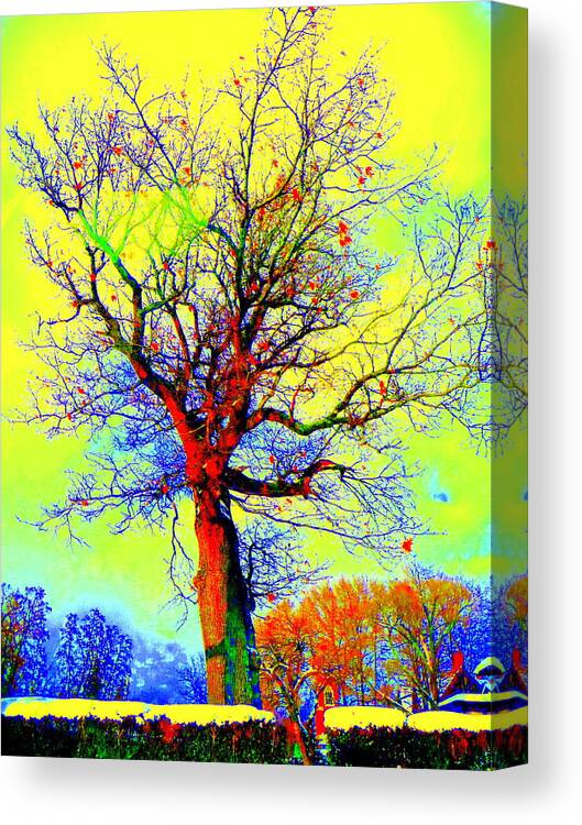 Red Tree Canvas Print featuring the photograph Yellow Sky by Jodie Marie Anne Richardson Traugott     aka jm-ART