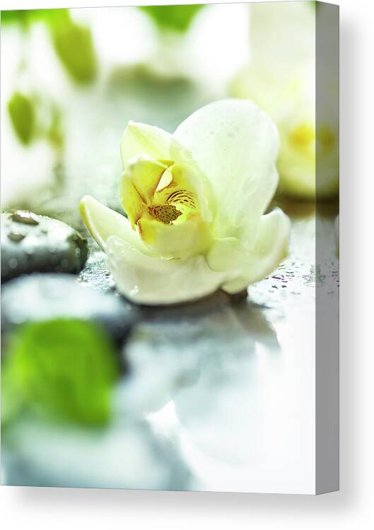 Orchid Canvas Print featuring the photograph Zen Orchid by #name?