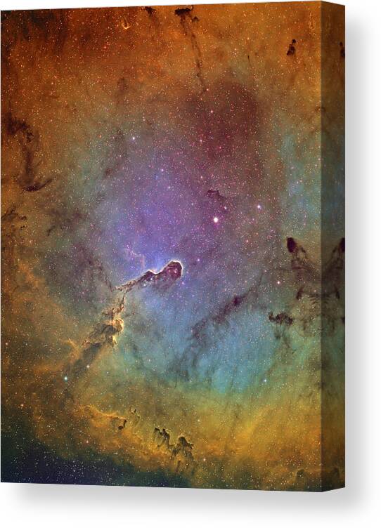 Nebula Canvas Print featuring the photograph Elephant Trunk Nebula #1 by Andre Van der Hoeven