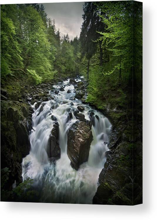 Nature Canvas Print featuring the photograph Forces Of Nature #1 by Evelina Kremsdorf