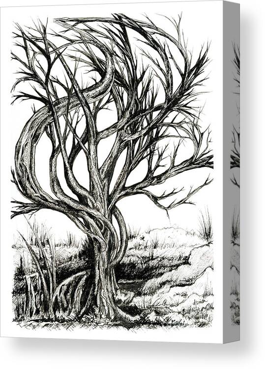 Tree Canvas Print featuring the drawing Twisted Tree by Danielle Scott