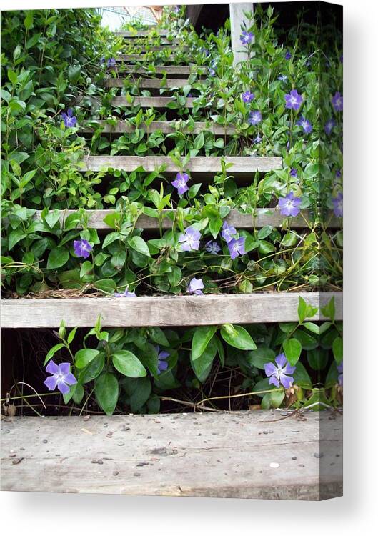 Stairs Canvas Print featuring the photograph A Step Up In The World by Travis Crockart
