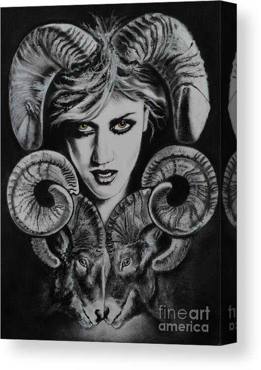 Aries Canvas Print featuring the drawing Aries the Ram by Carla Carson