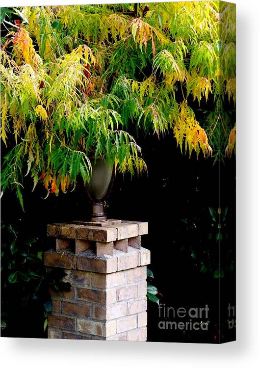 Autumn Canvas Print featuring the photograph Autumn 2 by Tatyana Searcy