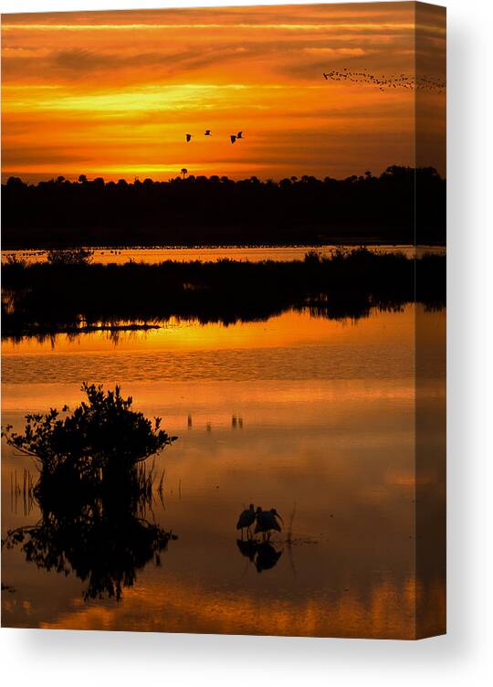 Sunrise Canvas Print featuring the photograph Beautiful Sunrise by Dorothy Cunningham