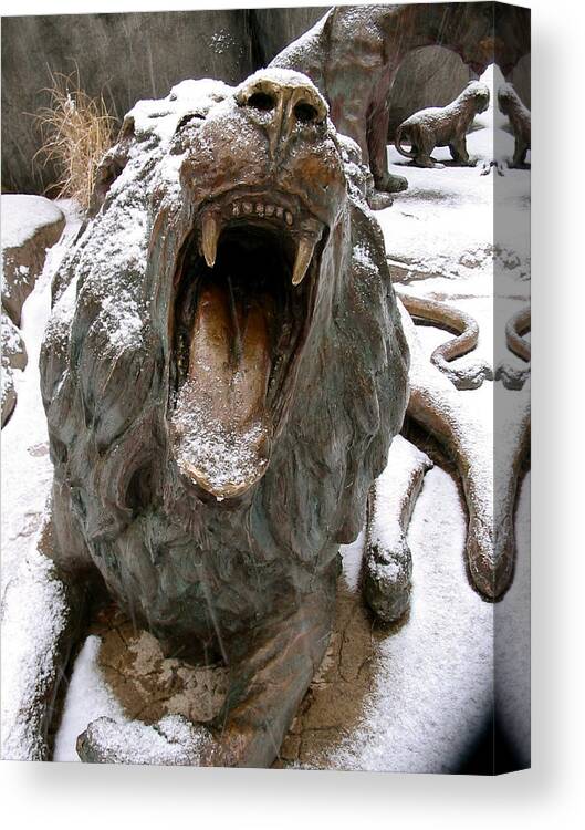 Lion Canvas Print featuring the photograph Catch a Snowflake by Azthet Photography