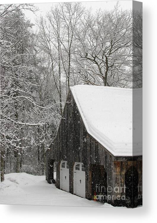 Winter Canvas Print featuring the photograph Chepachet Winter by Lili Feinstein