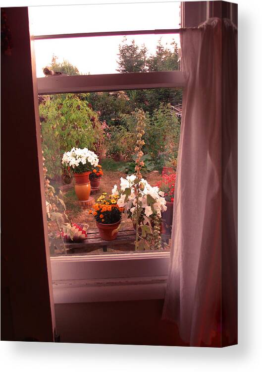 Window Canvas Print featuring the photograph Come To My Window by Kym Backland
