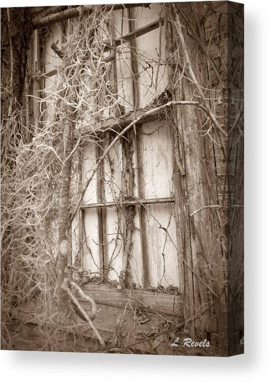 Window Canvas Print featuring the photograph Dream Lost by Leslie Revels