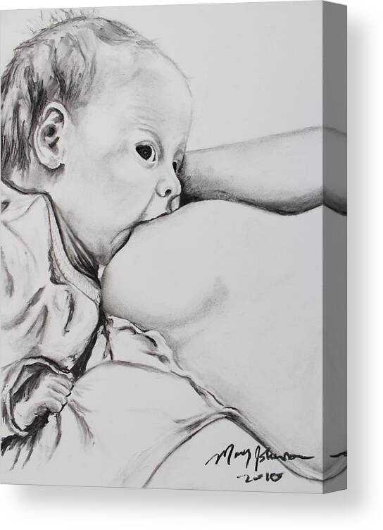 Baby Canvas Print featuring the drawing Form and Function by Mary C Farrenkopf