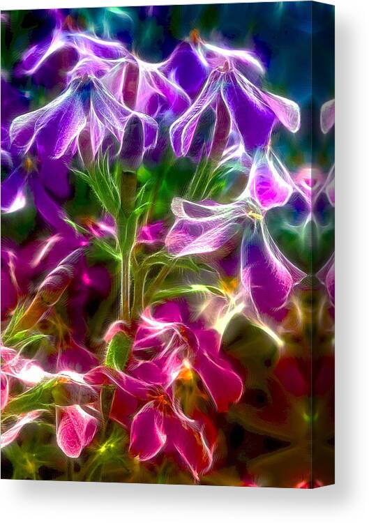 Flowers Canvas Print featuring the photograph Ghosting Blooms by Bill and Linda Tiepelman