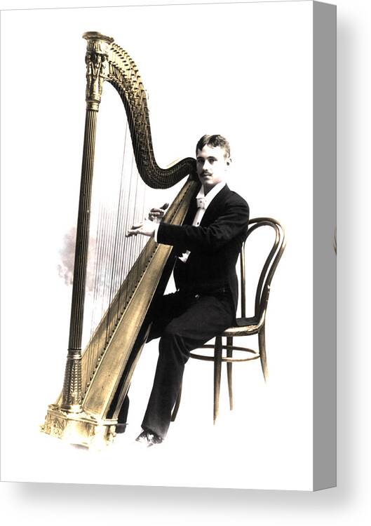 Harpist Canvas Print featuring the photograph Harp Player by Andrew Fare