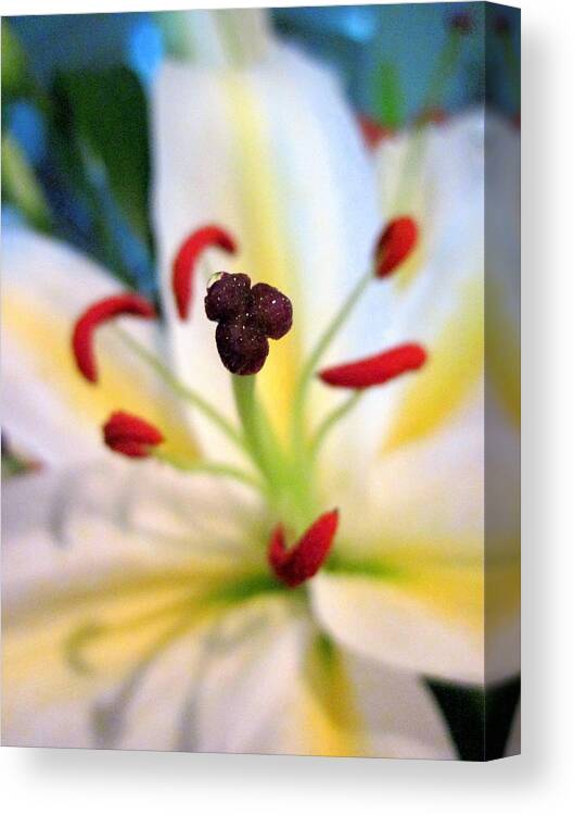 Lily Canvas Print featuring the photograph Heart of a Lily by Life Makes Art