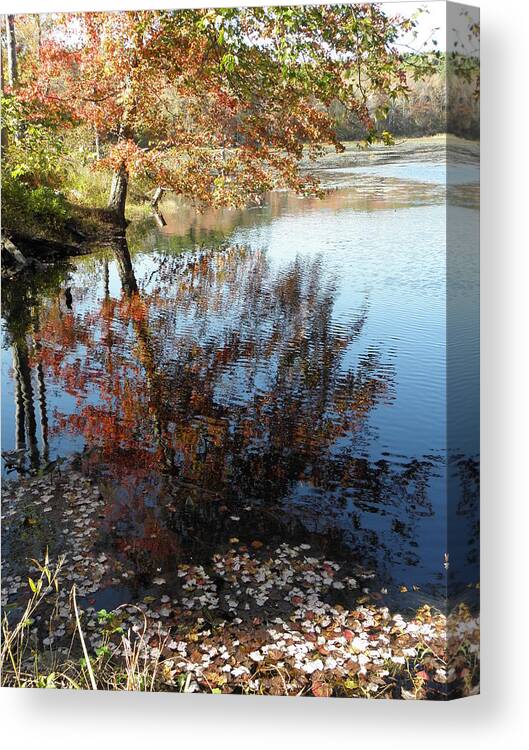 Leaves Canvas Print featuring the photograph Leaves Of Reflections by Kim Galluzzo Wozniak