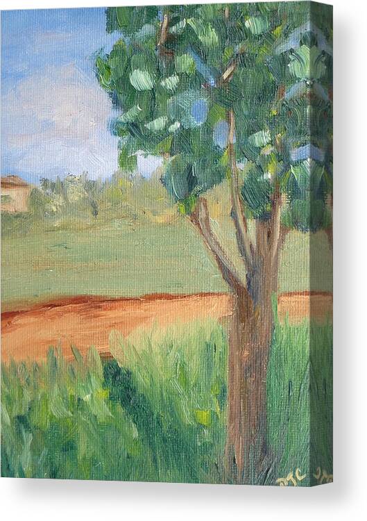 Landscape Canvas Print featuring the painting Little Tree I by Patricia Cleasby