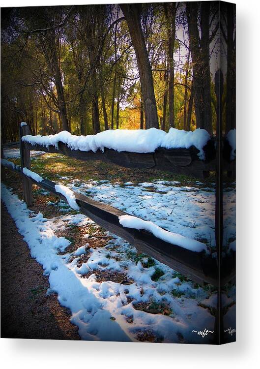 Nature Canvas Print featuring the photograph Long Snow Fence by Michelle Frizzell-Thompson