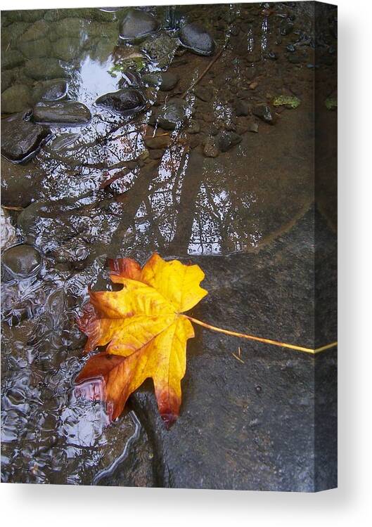 Maple Leaf Canvas Print featuring the photograph Maple Leaf Reflection 1 by Peter Mooyman