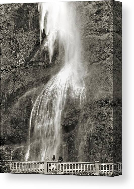 Platinum Canvas Print featuring the photograph Mutnomah Bridge Threesome by Lora Fisher