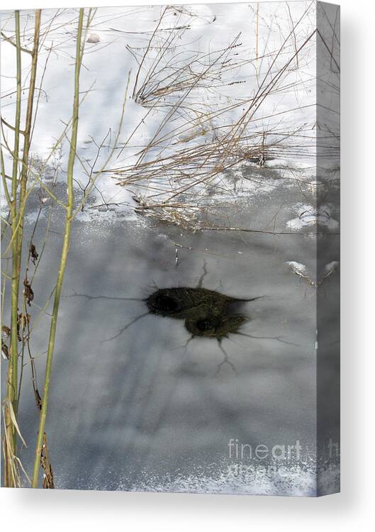 Winter Canvas Print featuring the photograph On the River. Heart in Ice 02 by Ausra Huntington nee Paulauskaite