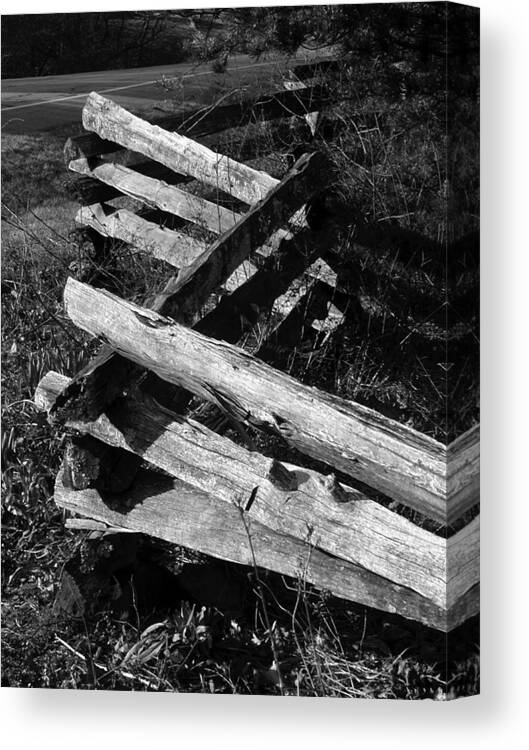 Curtis Neeley Canvas Print featuring the photograph OrchardFence by Curtis J Neeley Jr