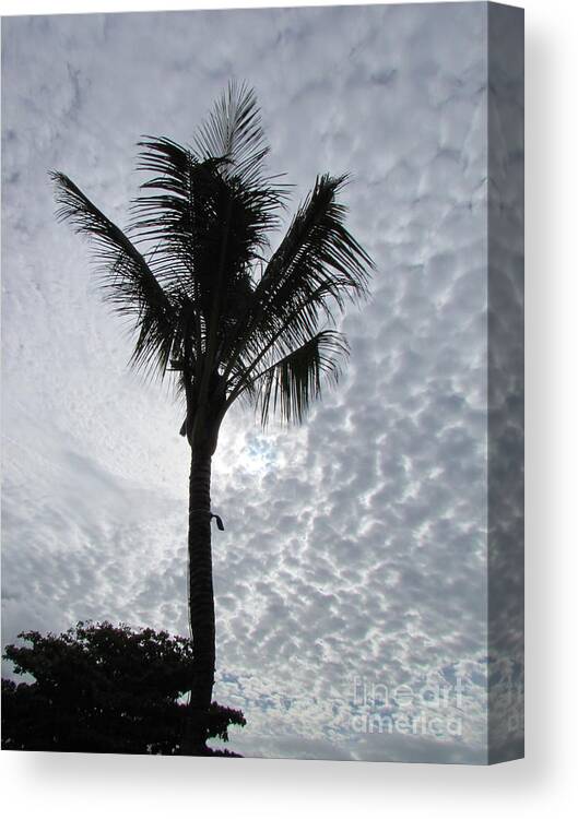Palm Shadow With Beautiful Clouds Canvas Print featuring the photograph Palm Shadow by Rajesh Nagalingum Vythilingum