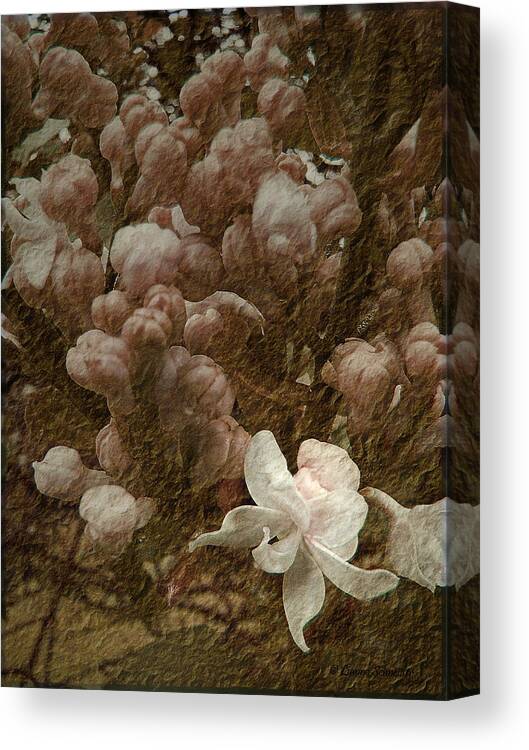 Lilac Canvas Print featuring the photograph Pruning Lilacs by Lianne Schneider