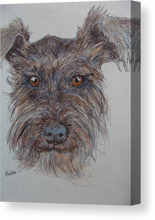 Dog Canvas Print featuring the painting Scruffy by Judy Fischer Walton
