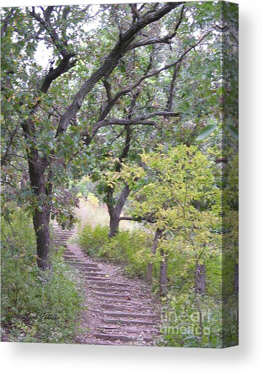 Steps Canvas Print featuring the photograph Steps Trail by Yumi Johnson