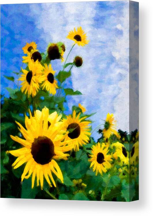 Sunflowers Canvas Print featuring the photograph Sunflowers by Steve Zimic