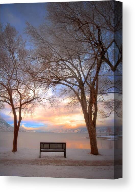 Trees Canvas Print featuring the photograph The Bench in the Winter by Tara Turner