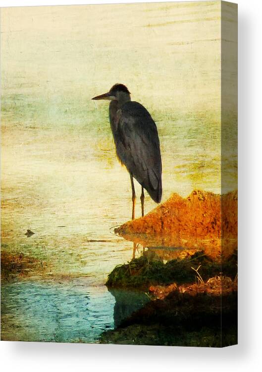Blue Heron Canvas Print featuring the photograph The Lonely Hunter by Amy Tyler