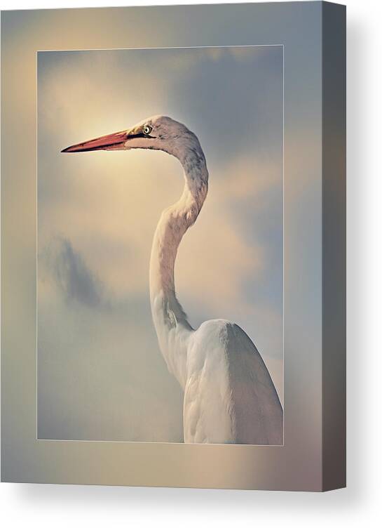 Heron Canvas Print featuring the photograph The Observer by Stephen Warren