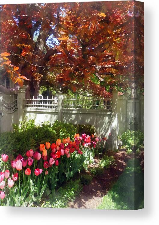 Tulip Canvas Print featuring the photograph Tulips by Dappled Fence by Susan Savad