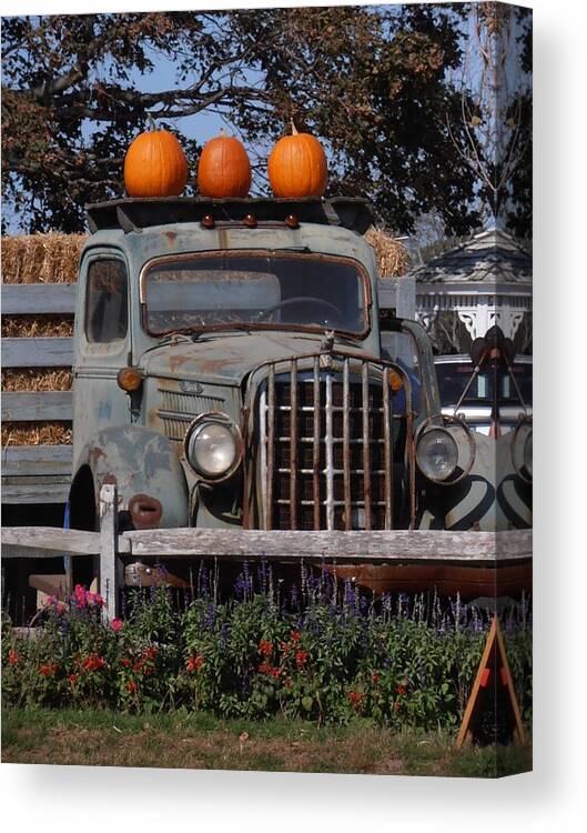 Vintage Canvas Print featuring the photograph Vintage Harvest by Kimberly Perry