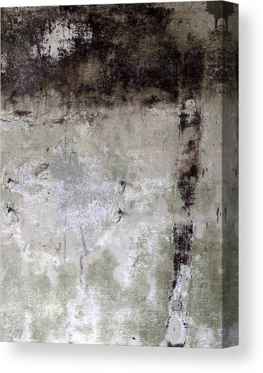 Wall Canvas Print featuring the photograph Wall Texture Number 11 by Carol Leigh