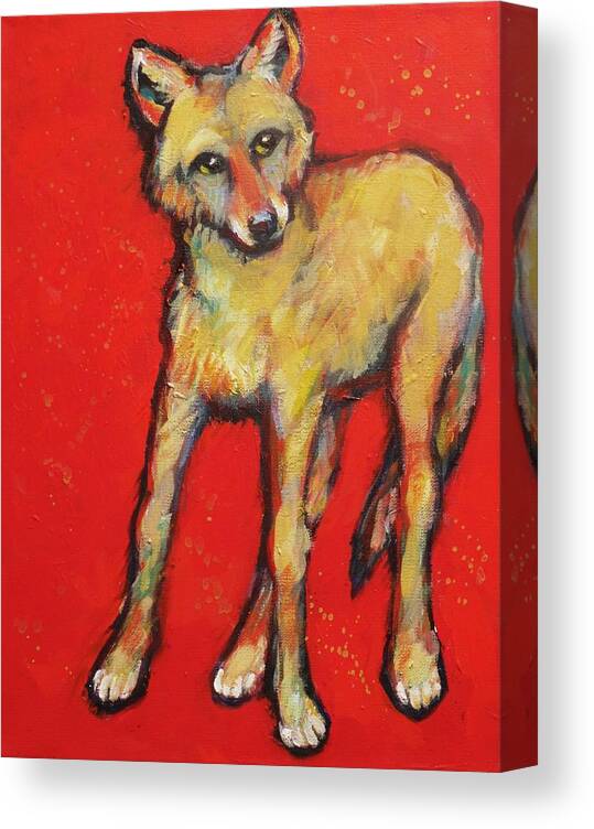 Coyote Canvas Print featuring the painting Wary Coyote by Carol Suzanne Niebuhr