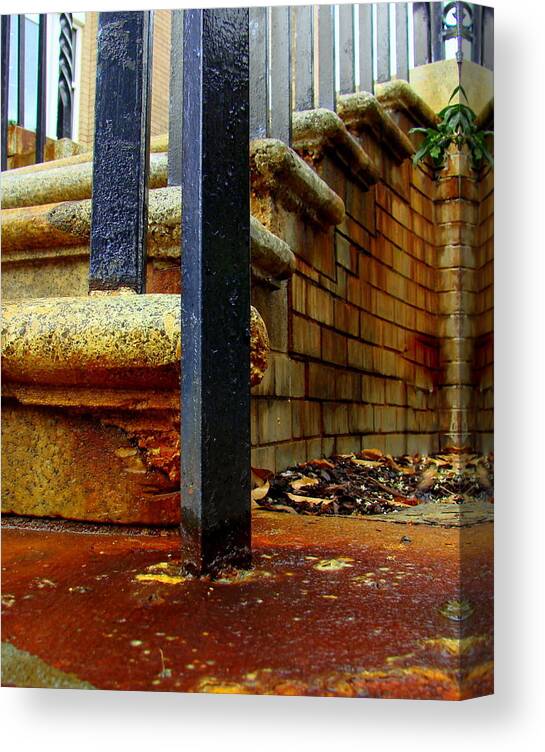 Gastonia Canvas Print featuring the photograph Weathering Heights by Tammy Cantrell