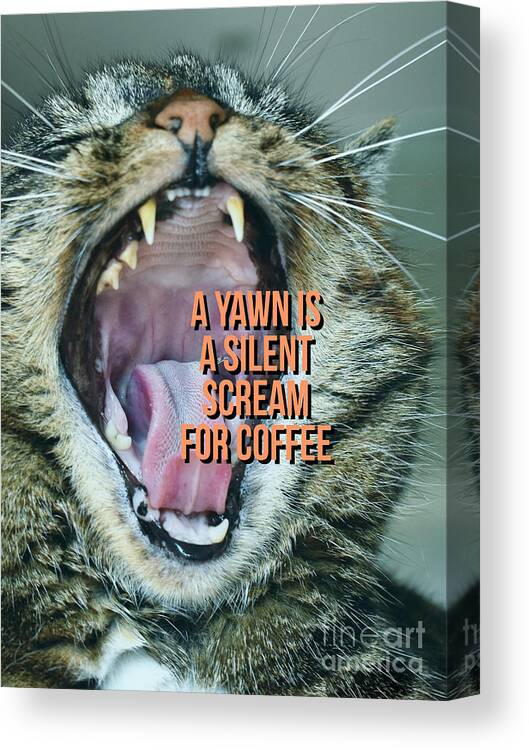 Yawn Canvas Print featuring the photograph A yawn is a silent scream for coffee #2 by Edward Fielding