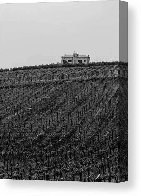 Wineyard Canvas Print featuring the photograph An italian farm in Abruzzo by AM FineArtPrints