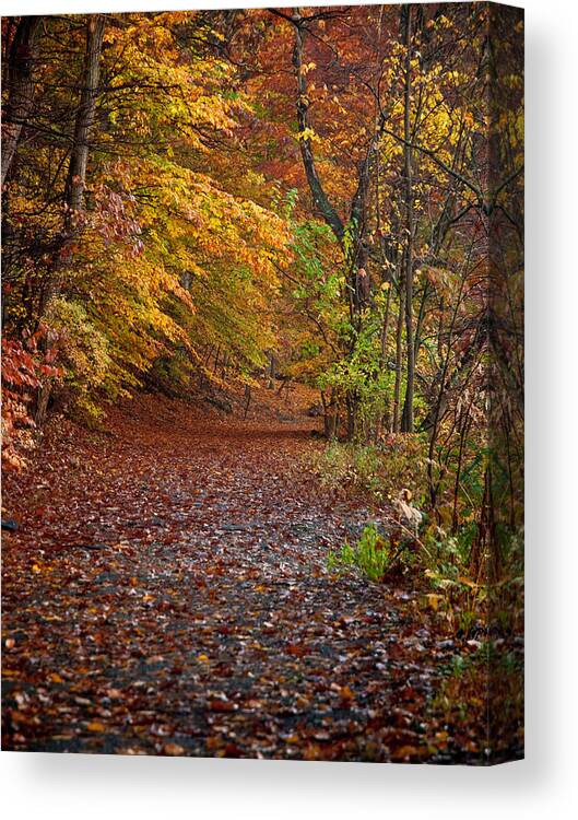 Autumn Canvas Print featuring the photograph Autumn Trail #1 by Jim DeLillo