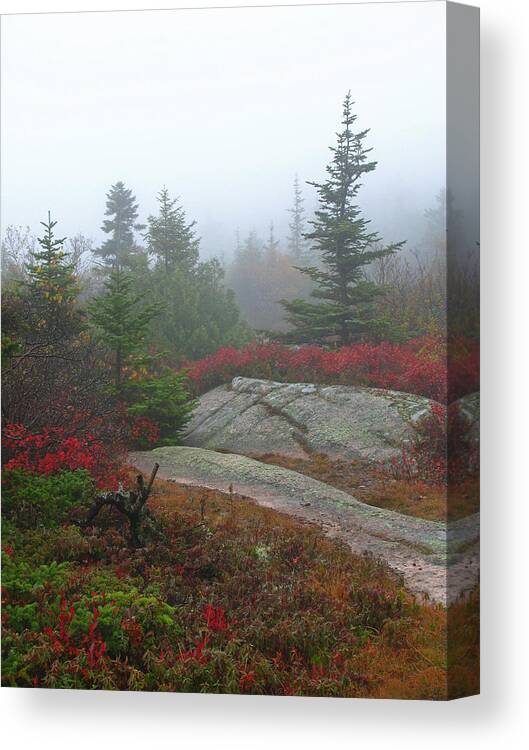 Acadia Np Canvas Print featuring the photograph Cadillac Mountain #1 by Juergen Roth