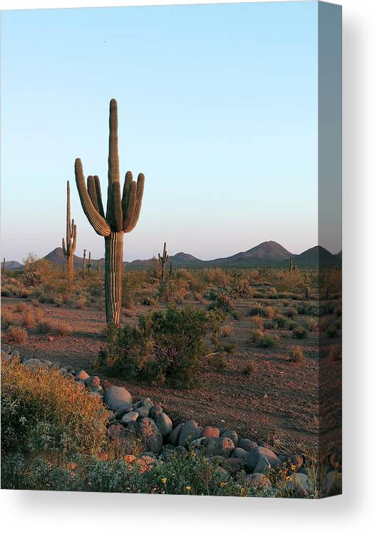 Beautiful Canvas Print featuring the photograph Dove Valley #2 by Gordon Beck